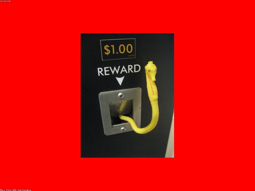 របៀបបង្កើនប្រាក់រង្វាន់ SLOT របស់អ្នក