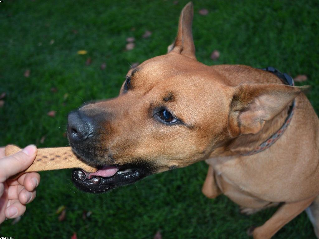 ការផ្តល់ប្រាក់រង្វាន់: របៀបធ្វើឱ្យមានប្រសិទ្ធភាព